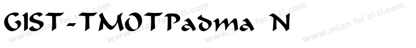 GIST-TMOTPadma Norma字体转换